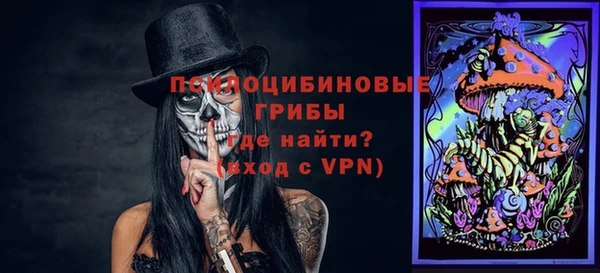 прущая мука Абаза