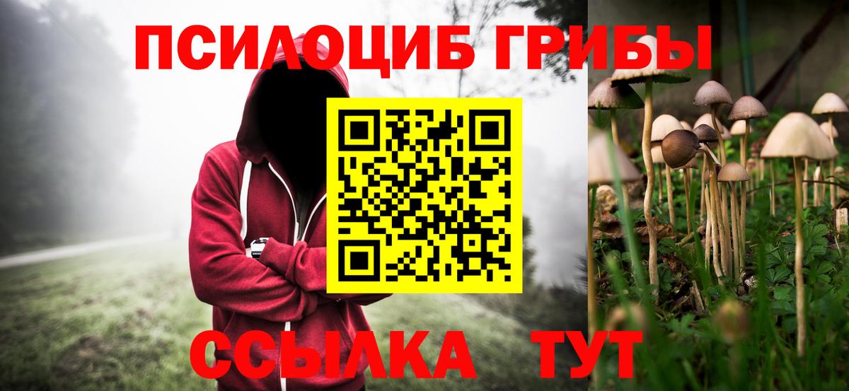 Красноуфимск  Псилоцибиновые грибы Cubensis  Вход с VPN 